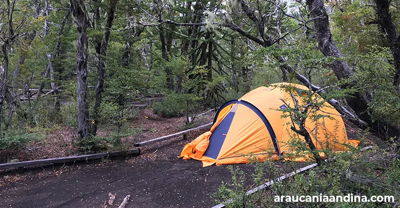 Camping en Conguillío: dónde acampar en el parque, Araucanía Andina