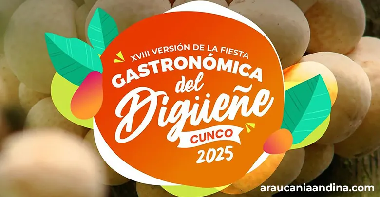 Digüeñe: qué es, temporada y dónde probarlo, Araucanía Andina