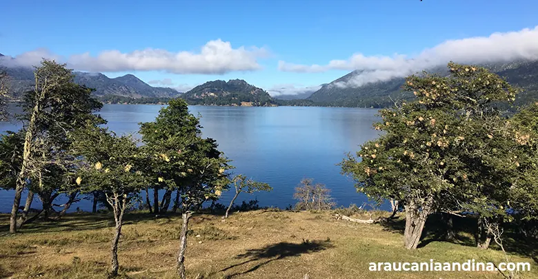 Lago Icalma, Araucanía Andina