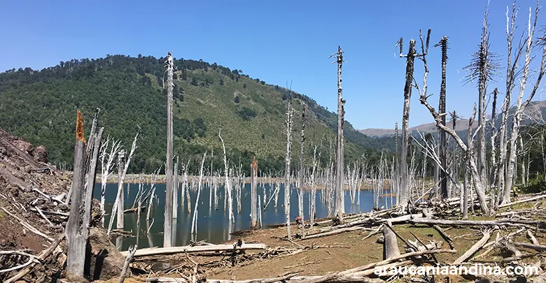 Laguna Escondida, Araucanía Andina