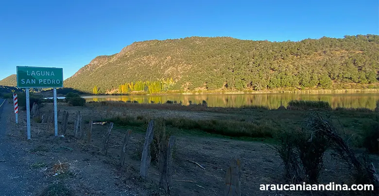 Laguna San Pedro, Araucanía Andina