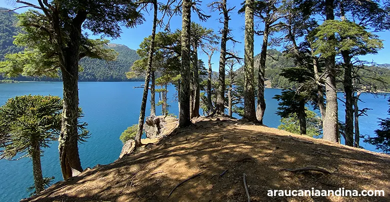 10 imperdibles en verano, Araucanía Andina