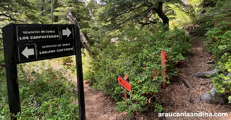 Rutas de trekking en el Parque Conguillío, Araucanía Andina