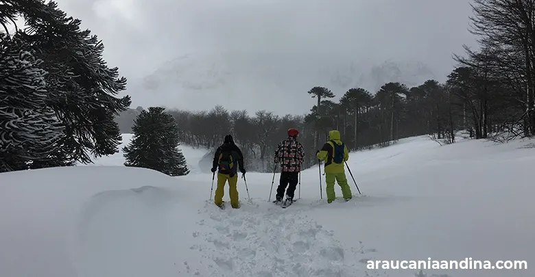 Raquetas de nieve por la Cuesta Las Raíces, Araucanía Andina