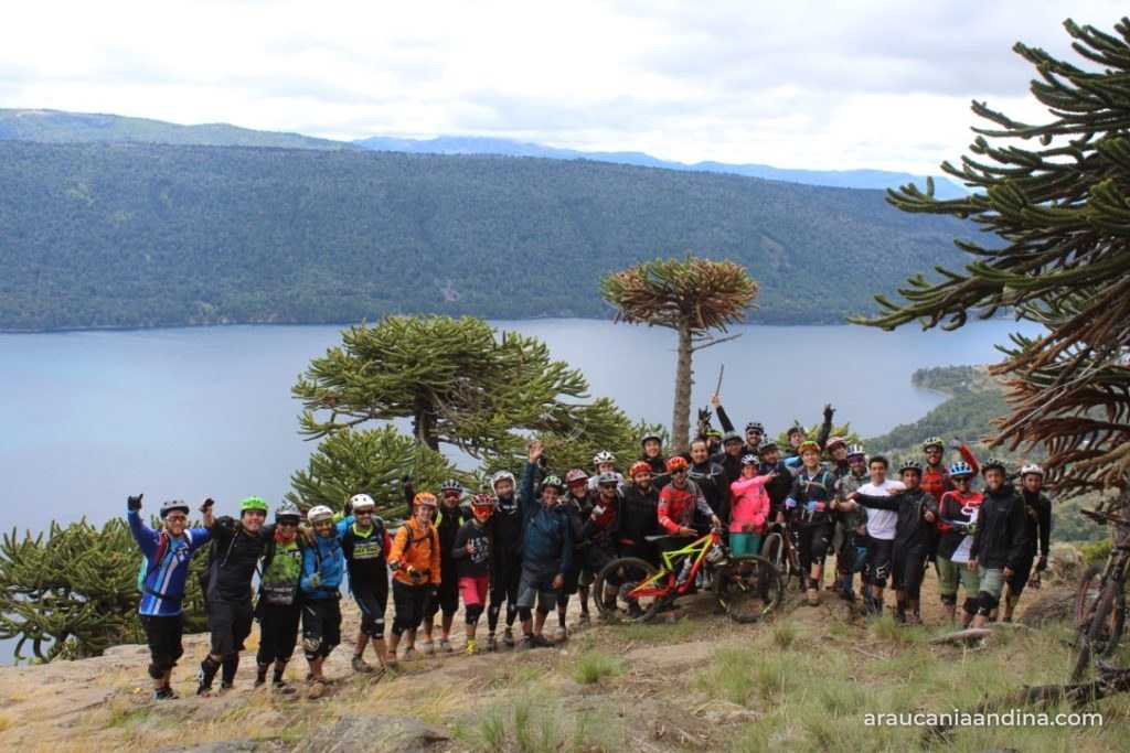 Grupo de ciclistas del Bike Camp Icalma 2018 con cascos y bicicletas entre araucarias, sobre un lago de la zona de Icalma