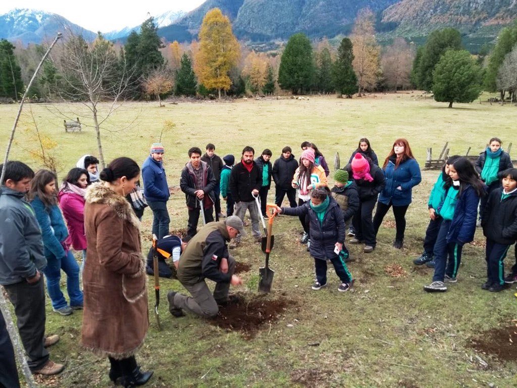 Estudiantes y vecinos de Melipeuco plantan especies nativas con un guardaparque de CONAF, que junto a la comunidad impulsan un proyecto para recuperar la emblemática Reserva Nacional China Muerta en la Región de La Araucanía