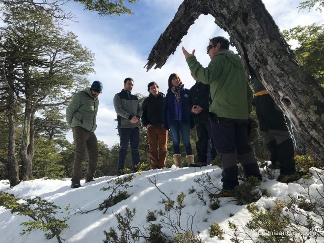 Recorrido por un bosque nevado durante la visita en que la subsecretaria de Turismo se reúne con empresarios de la Araucanía Andina, en 2018