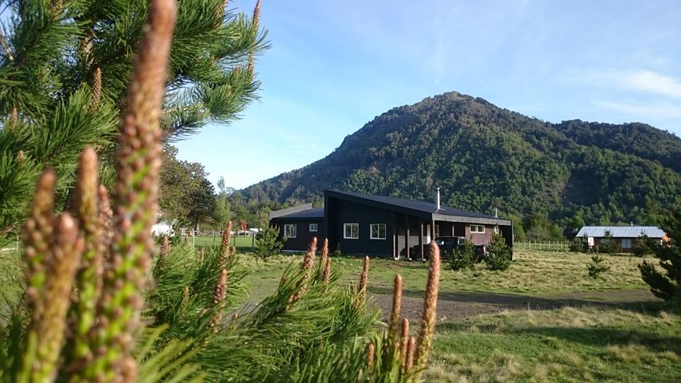 Cabañas Carpintero negro