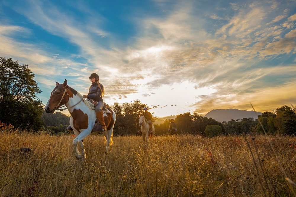 Cabalgata al atardecer por un campo de pastizales en la Araucanía Andina